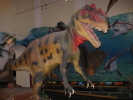 T.Rex T.Rex