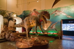 Haus der Natur Haus der Natur