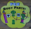Body Parts Body Parts