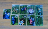 Bugs Bugs